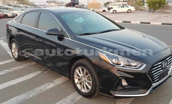 Buy Import Hyundai Sonata Black Car in Import - Dubai in Ahal Buy Import Hyundai Sonata Black Car in Import - Dubai in Ahal