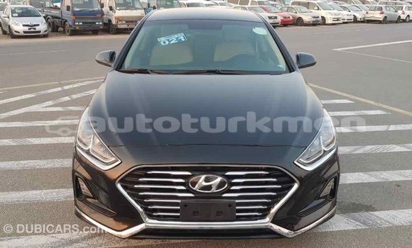 Buy Import Hyundai Sonata Black Car in Import - Dubai in Ahal Buy Import Hyundai Sonata Black Car in Import - Dubai in Ahal