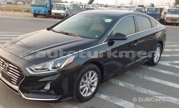 Buy Import Hyundai Sonata Black Car in Import - Dubai in Ahal Buy Import Hyundai Sonata Black Car in Import - Dubai in Ahal