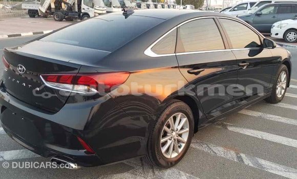 Buy Import Hyundai Sonata Black Car in Import - Dubai in Ahal Buy Import Hyundai Sonata Black Car in Import - Dubai in Ahal