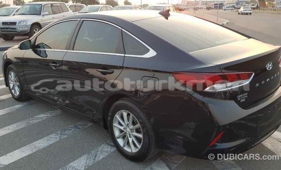 Buy Import Hyundai Sonata Black Car in Import - Dubai in Ahal Buy Import Hyundai Sonata Black Car in Import - Dubai in Ahal