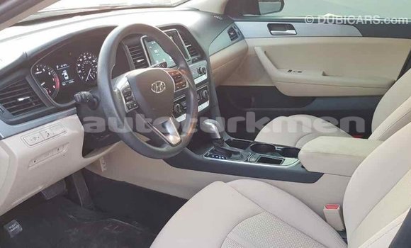Buy Import Hyundai Sonata Black Car in Import - Dubai in Ahal Buy Import Hyundai Sonata Black Car in Import - Dubai in Ahal