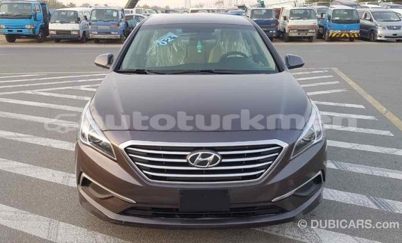 Buy Import Hyundai Sonata Brown Car in Import - Dubai in Ahal Buy Import Hyundai Sonata Brown Car in Import - Dubai in Ahal