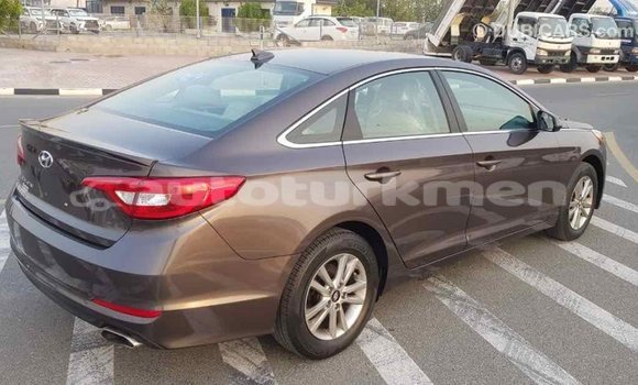 Buy Import Hyundai Sonata Brown Car in Import - Dubai in Ahal Buy Import Hyundai Sonata Brown Car in Import - Dubai in Ahal