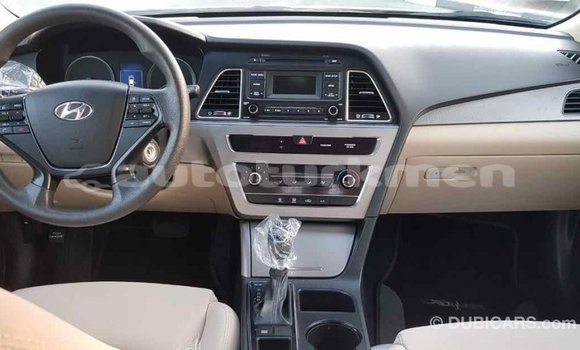 Buy Import Hyundai Sonata Brown Car in Import - Dubai in Ahal Buy Import Hyundai Sonata Brown Car in Import - Dubai in Ahal