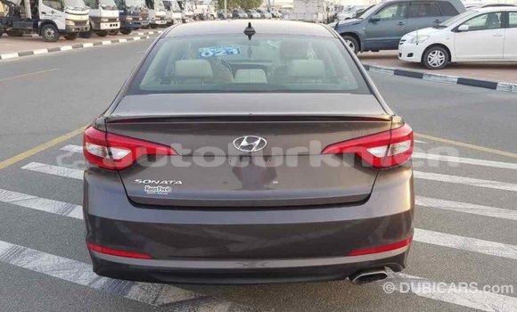 Buy Import Hyundai Sonata Brown Car in Import - Dubai in Ahal Buy Import Hyundai Sonata Brown Car in Import - Dubai in Ahal