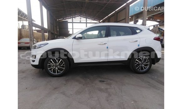 Buy Import Hyundai Tucson White Car in Import - Dubai in Ahal Buy Import Hyundai Tucson White Car in Import - Dubai in Ahal