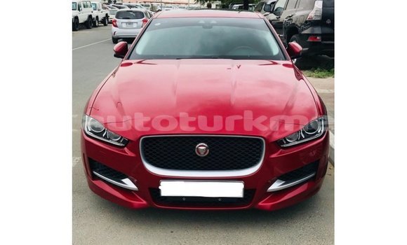 Buy Import Jaguar XE Red Car in Import - Dubai in Ahal