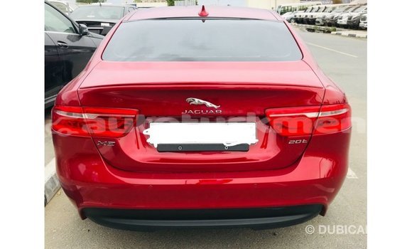 Buy Import Jaguar XE Red Car in Import - Dubai in Ahal Buy Import Jaguar XE Red Car in Import - Dubai in Ahal