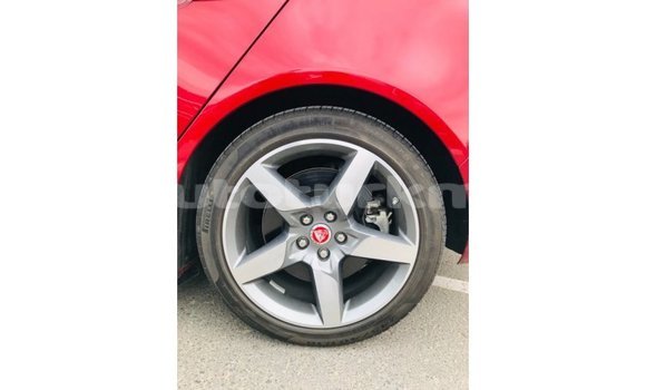 Buy Import Jaguar XE Red Car in Import - Dubai in Ahal Buy Import Jaguar XE Red Car in Import - Dubai in Ahal