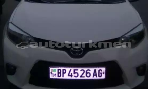 Buy Used Toyota Corolla White Car in Asgabat in Asgabat