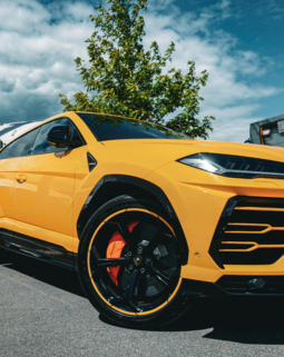 Thumb suv rise